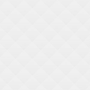 Why Choose Our Warehousing? Why Choose Our Warehousing?